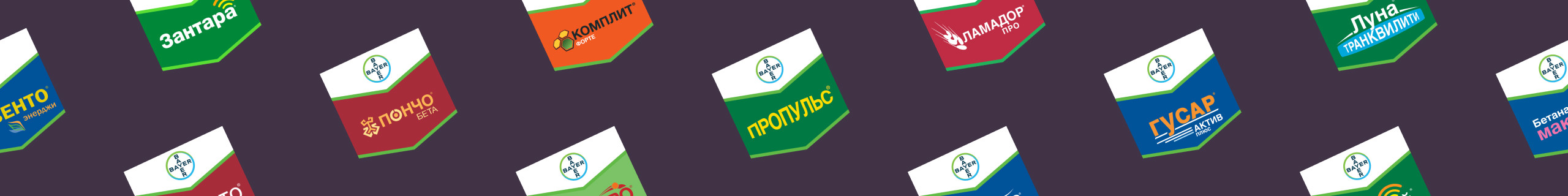 The Corporative Site of Bayer CropScience Consortium