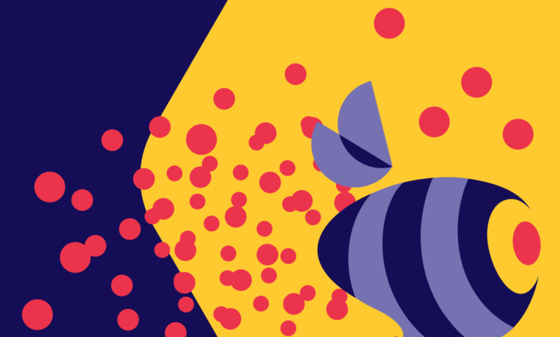 Restyling of the identity of Beesender chat platform