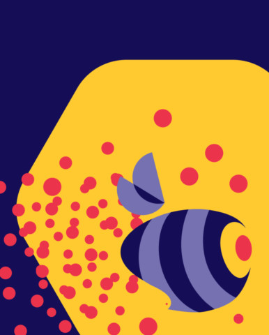 Restyling of the identity of Beesender chat platform