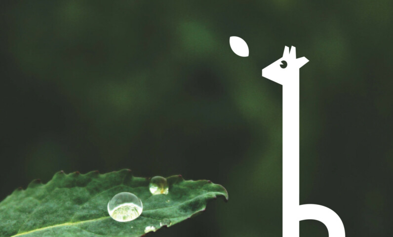 Total Rebranding for HealthGoesUp