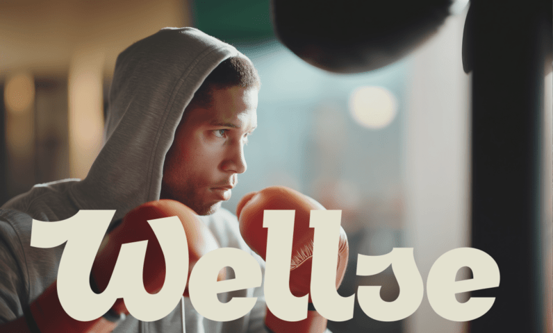 Branding and mobile app for the wellness startup Wellse