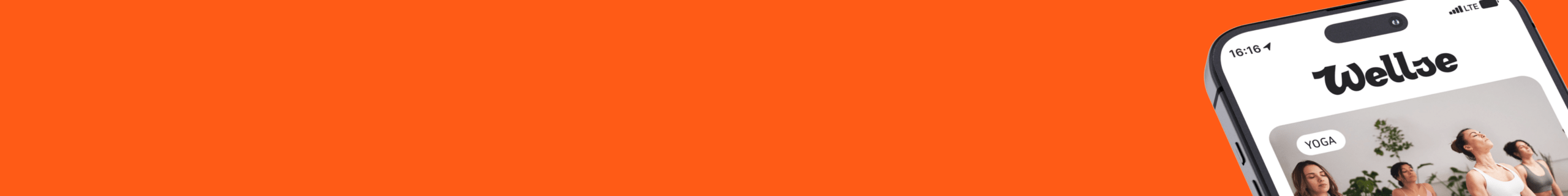 Branding and mobile app for the wellness startup Wellse