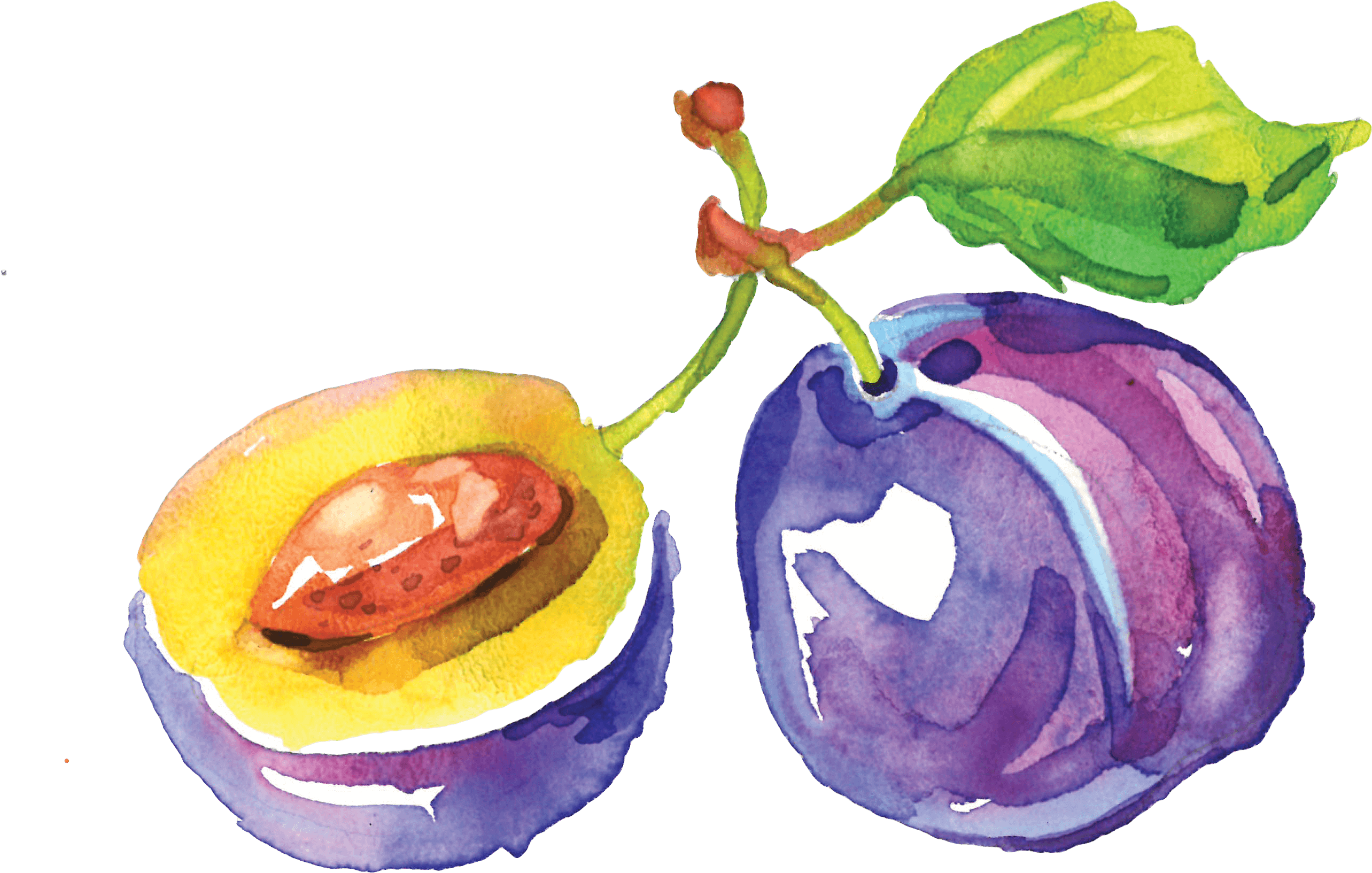 Кейс Food to Live. Акварельная иллюстрация