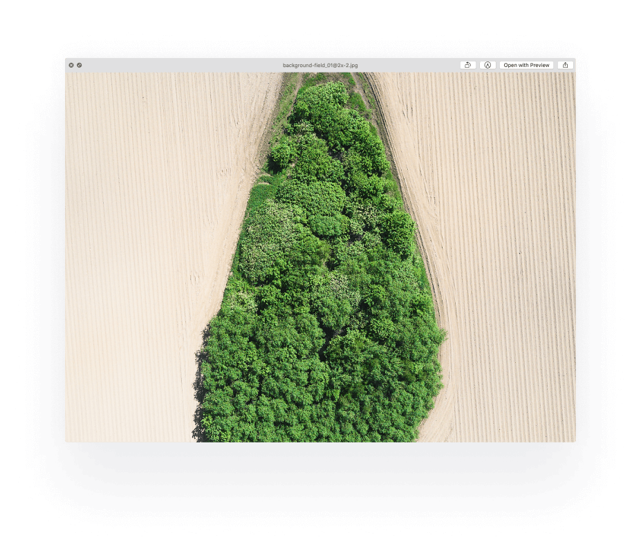 Фотография Вячеслава Мазая для сайта OneSoil. Лес, поле